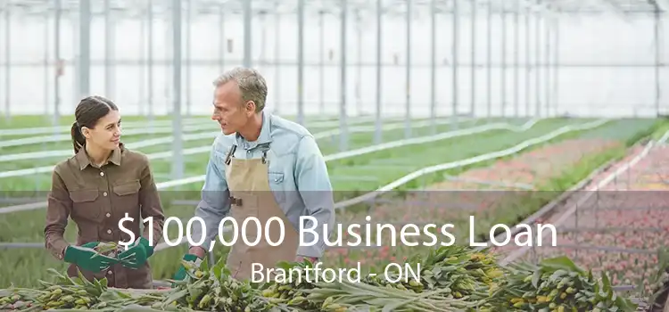 $100,000 Business Loan Brantford - ON