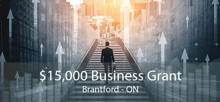 $15,000 Business Grant Brantford - ON